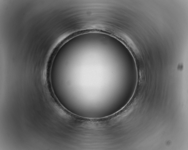 X0000102850780200808181417
