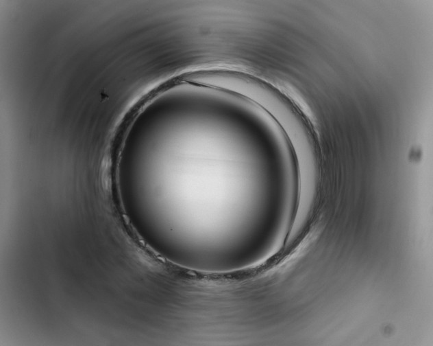 X0000102850781200808181416