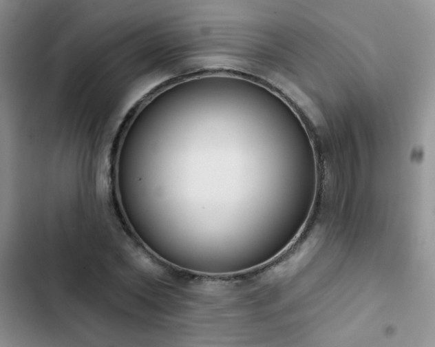 X0000102850782200808181416