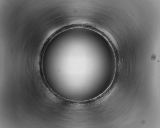X0000102850783200808181416