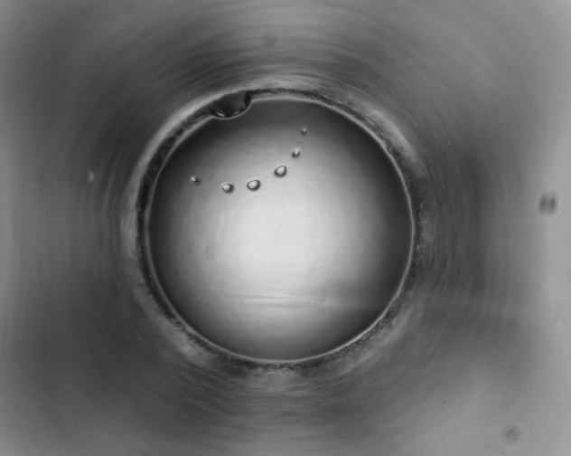 X0000102850784200808181416