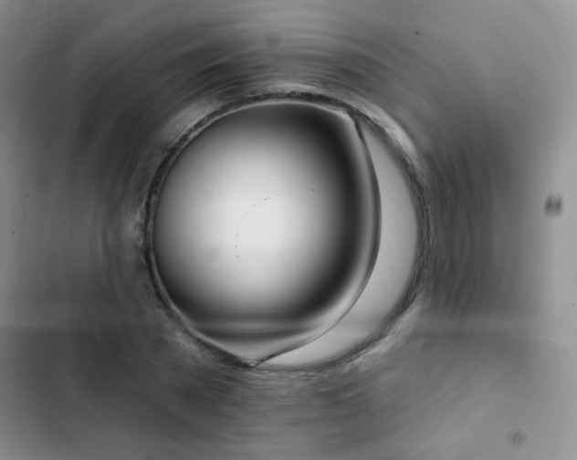 X0000102850785200808181416