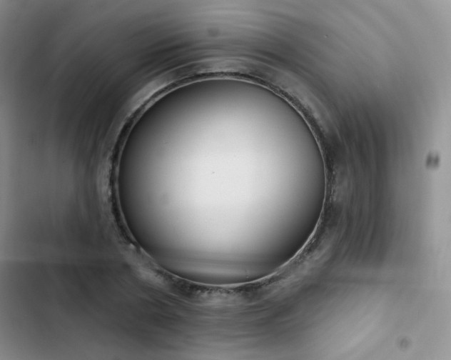 X0000102850786200808181416