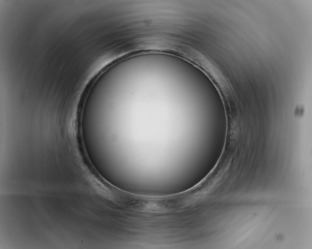 X0000102850787200808181416