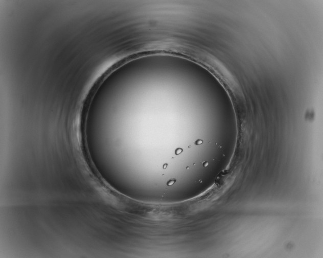 X0000102850788200808181416