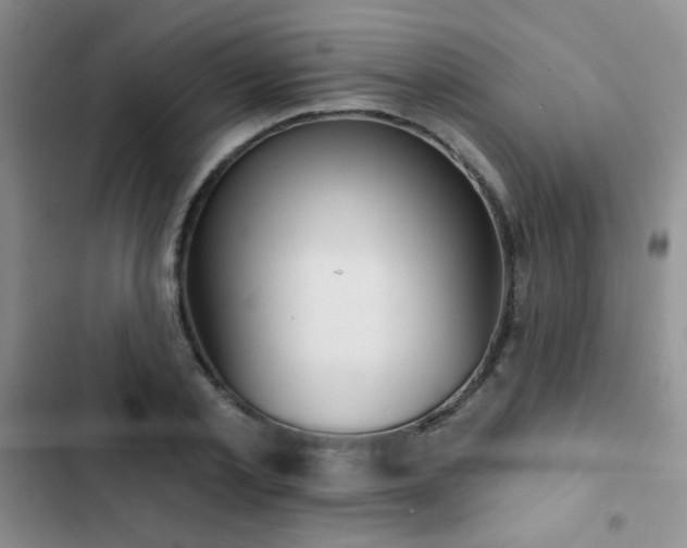 X0000102850789200808181416