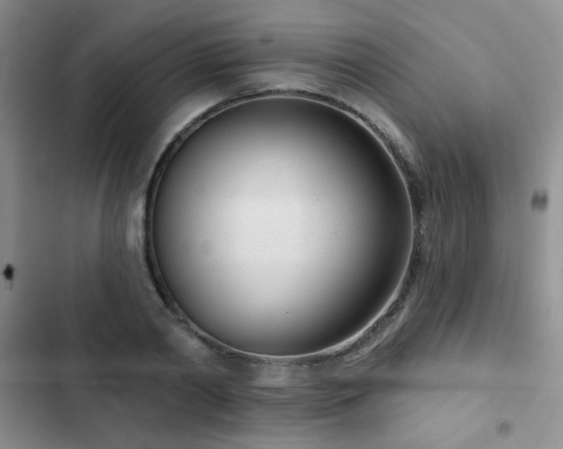 X0000102850790200808181416