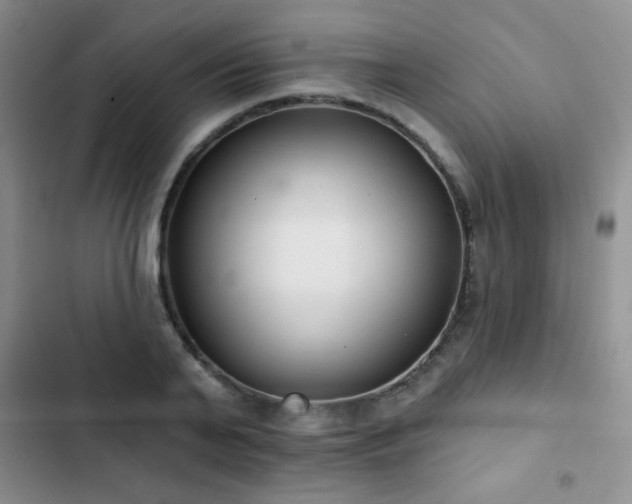 X0000102850791200808181416