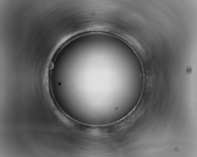 X0000102850792200808181416