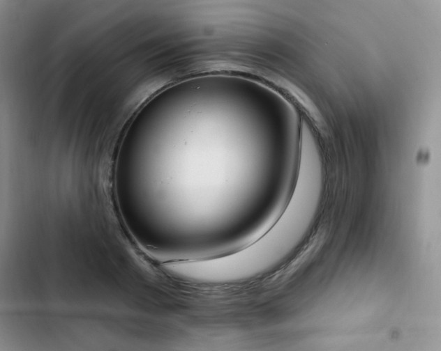 X0000102850793200808181416