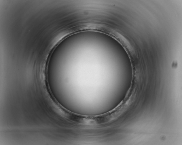 X0000102850794200808181416