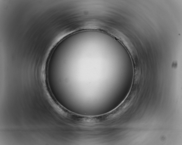 X0000102850795200808181416