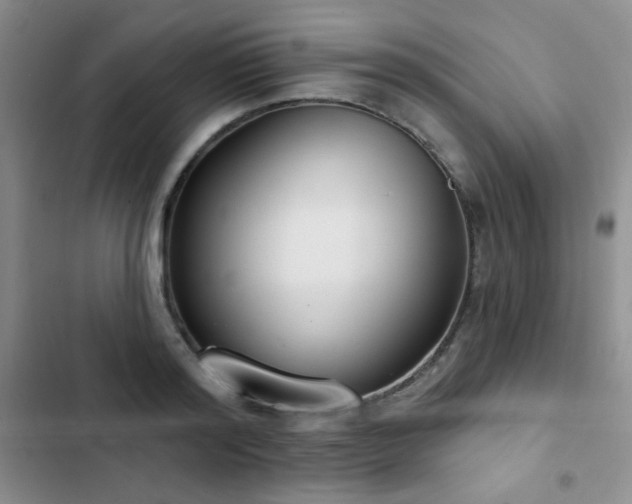 X0000102850796200808181416