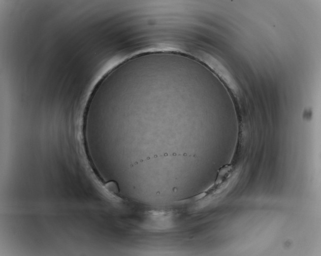 X0000102850797200808181416