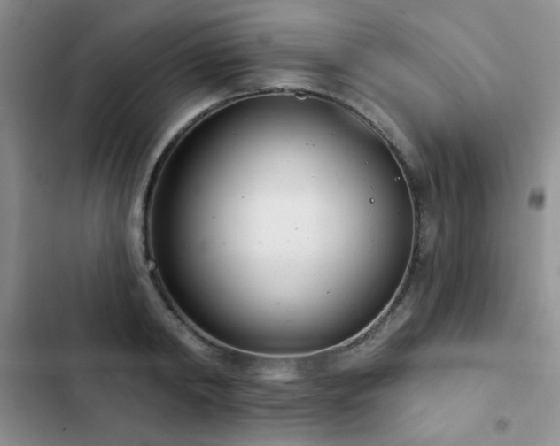 X0000102850798200808181416