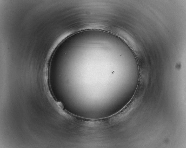 X0000102850804200808181416