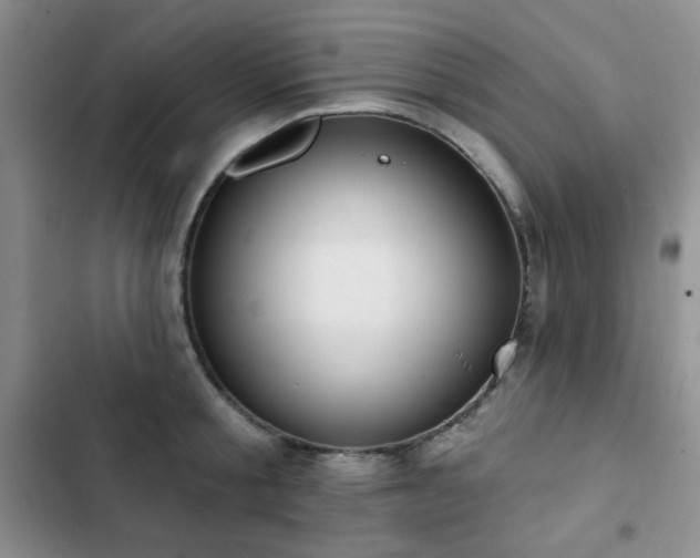 X0000102850805200808181416