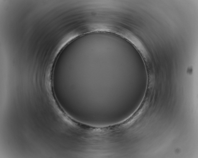 X0000102850806200808181416