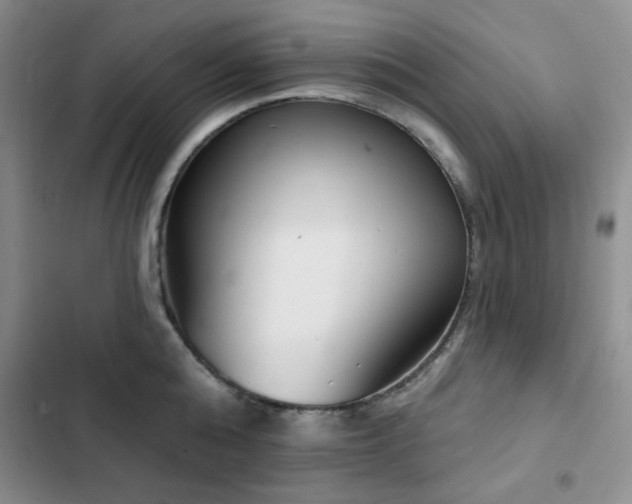 X0000102850808200808181416