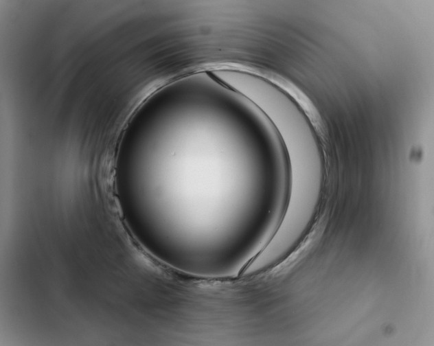 X0000102850809200808181416