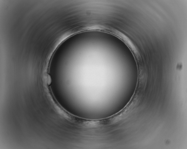 X0000102850810200808181416