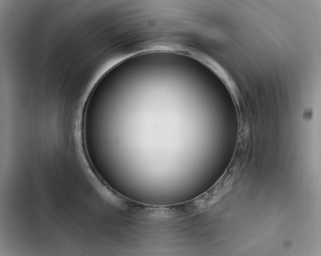 X0000102850811200808181416