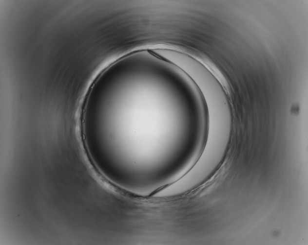 X0000102850813200808181416