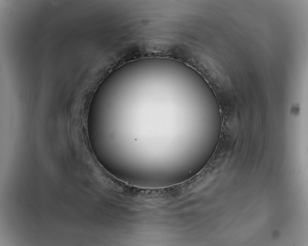 X0000102850817200808181415