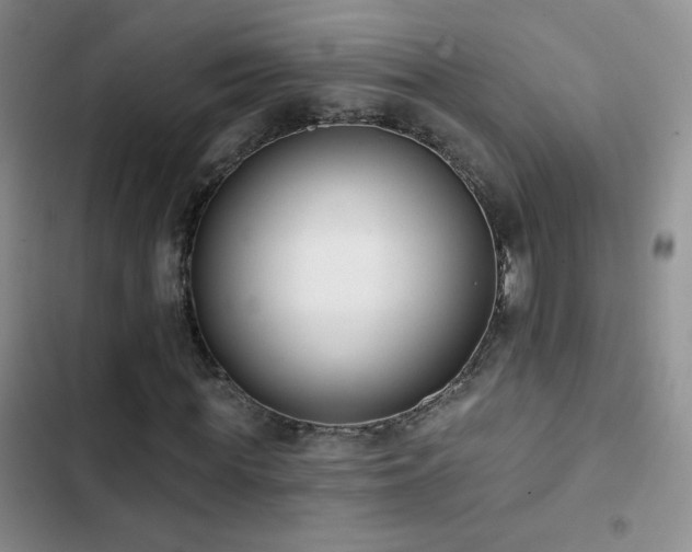 X0000102850819200808181415