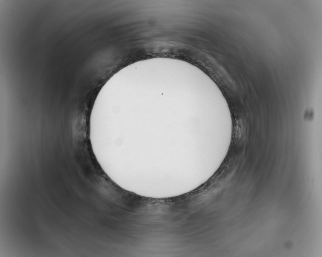 X0000102850820200808181415