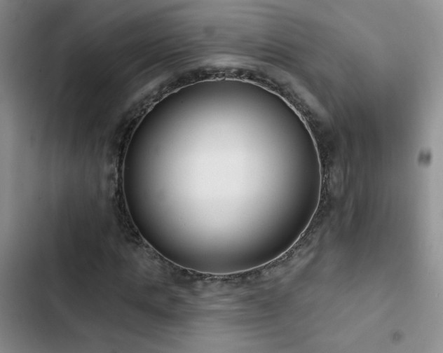 X0000102850821200808181415