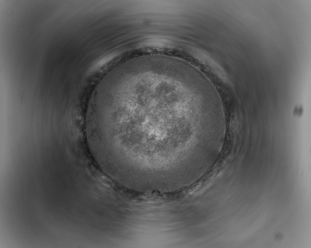 X0000102850822200808181415