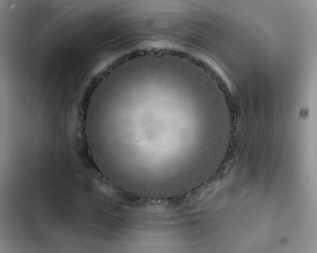 X0000102850823200808181415