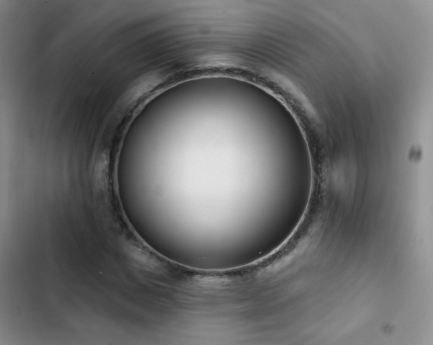 X0000102850825200808181415