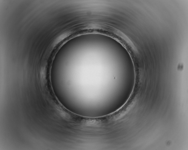 X0000102850826200808181415
