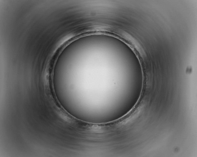 X0000102850827200808181415