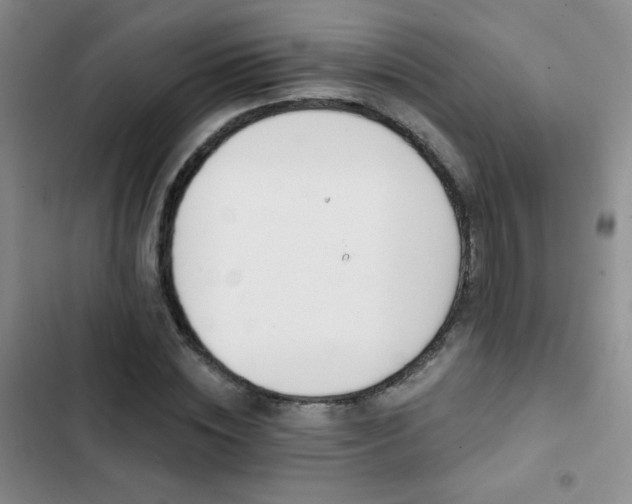 X0000102850828200808181415