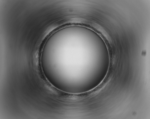 X0000102850829200808181415