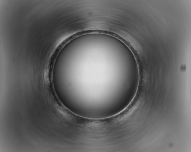 X0000102850830200808181415