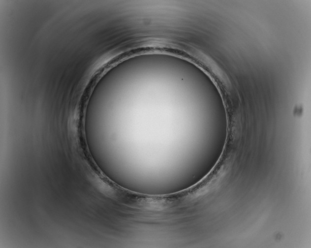 X0000102850831200808181415
