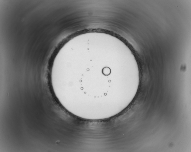 X0000102850832200808181415