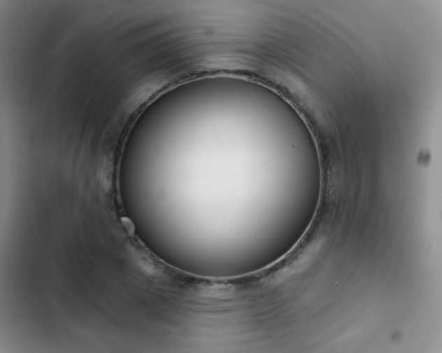 X0000102850833200808181415