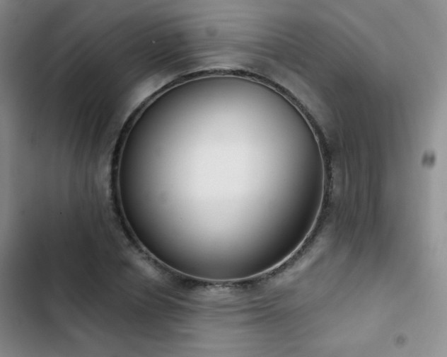 X0000102850834200808181415