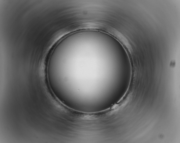 X0000102850835200808181415