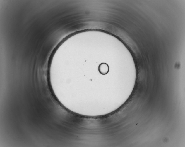 X0000102850836200808181415