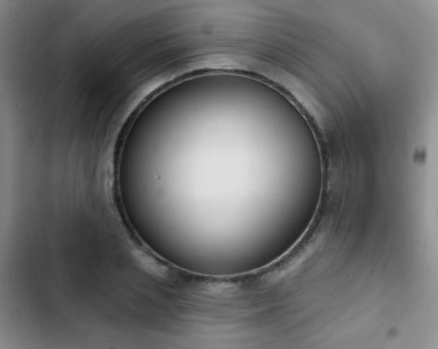 X0000102850837200808181415