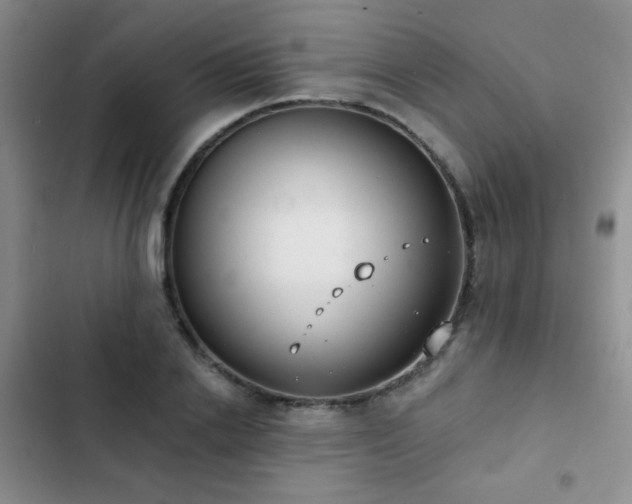 X0000102850838200808181415