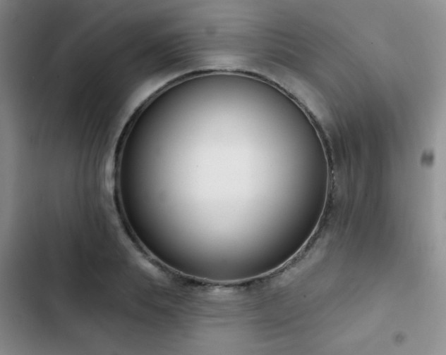 X0000102850839200808181415