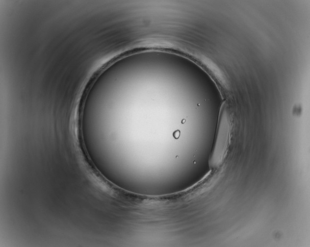 X0000102850840200808181415