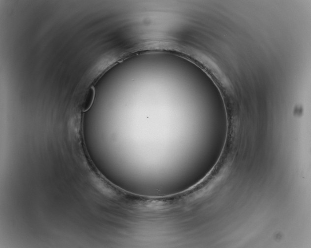 X0000102850841200808181416